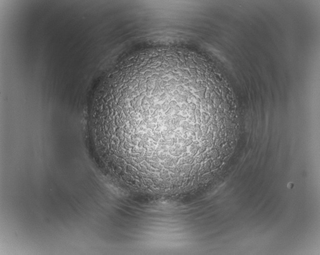 X0000068840737200605191925