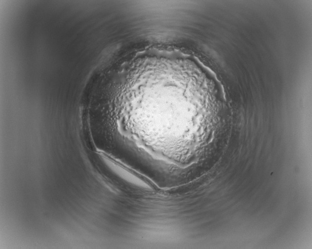 X0000068840738200605191925