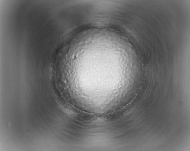 X0000068840741200605191925