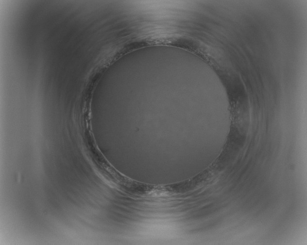 X0000068840742200605191925