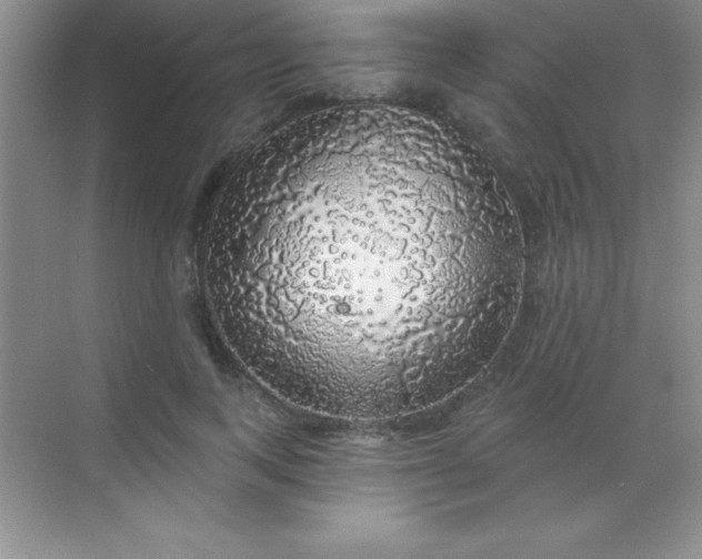 X0000068840743200605191925