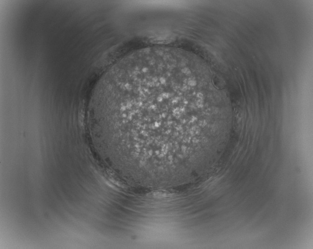 X0000068840745200605191925