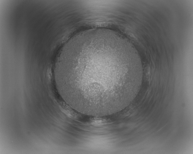 X0000068840746200605191925