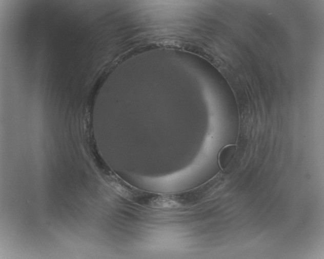 X0000068840747200605191925