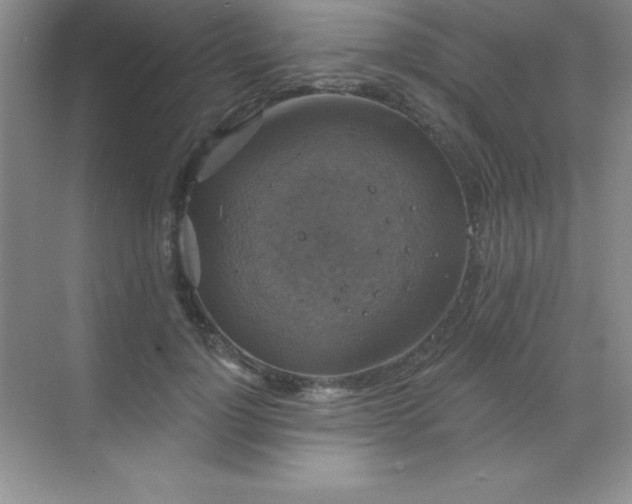 X0000068840748200605191925