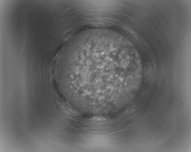 X0000068840749200605191925