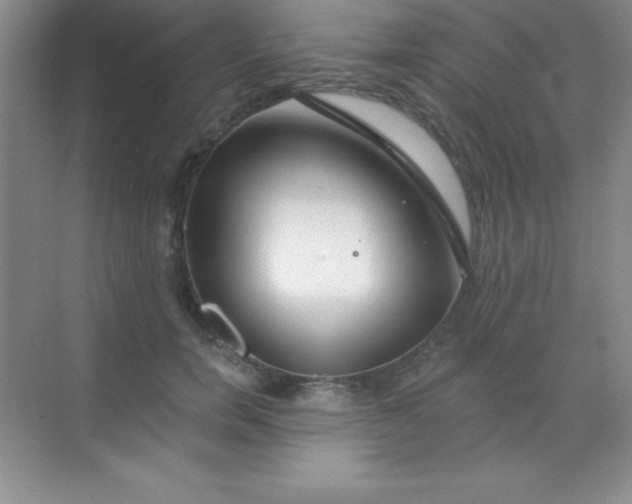 X0000068840750200605191925