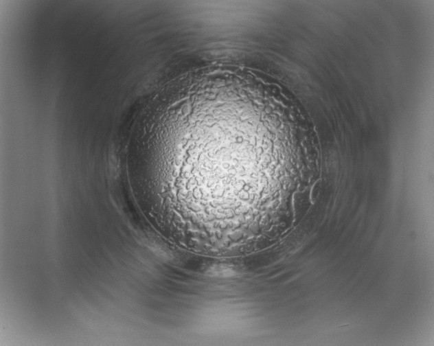 X0000068840751200605191925