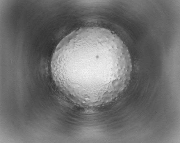 X0000068840753200605191925