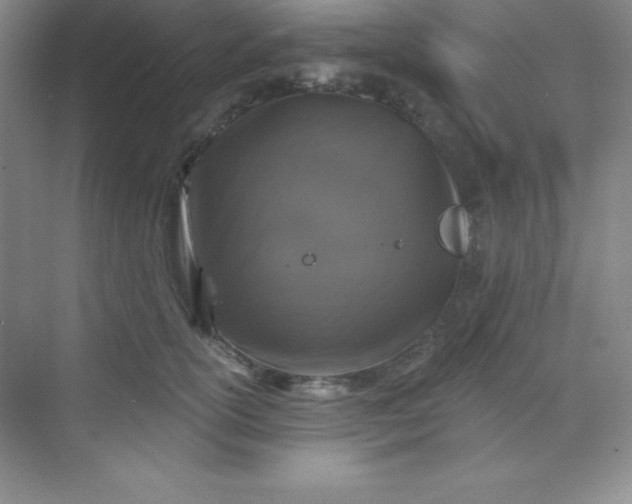 X0000068840754200605191925