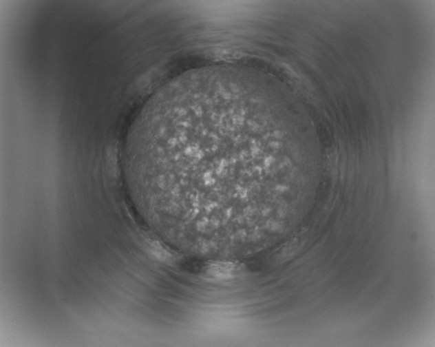 X0000068840757200605191925