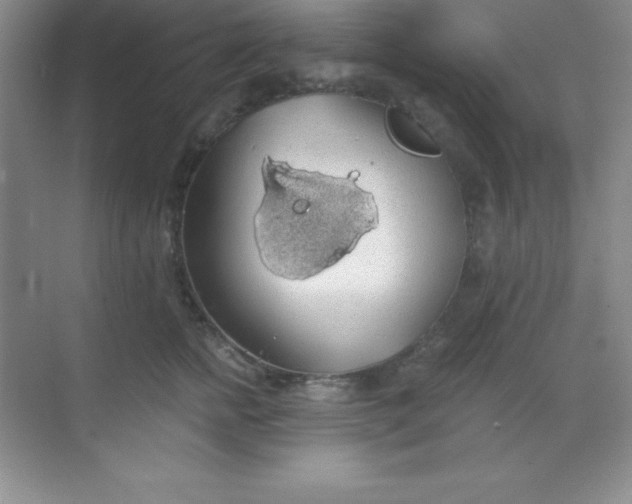 X0000068840758200605191925