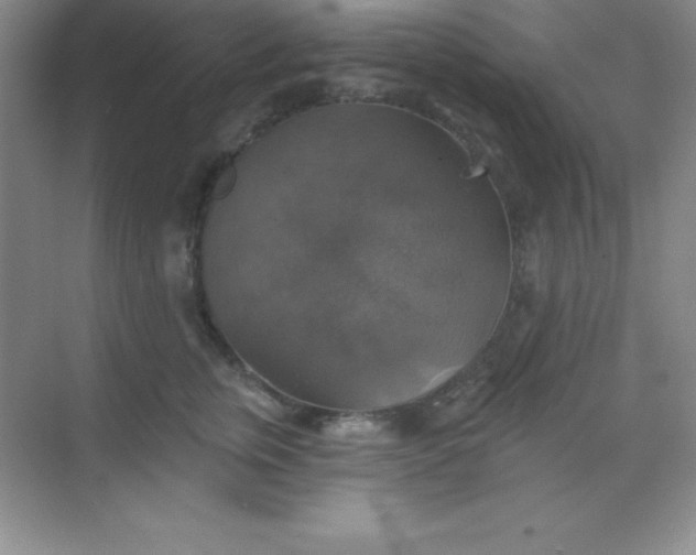 X0000068840759200605191925