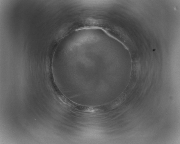 X0000068840760200605191925