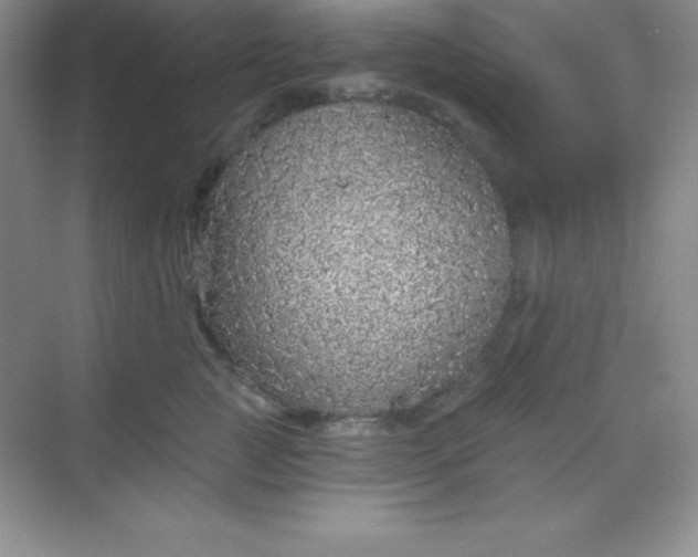 X0000068840761200605191925