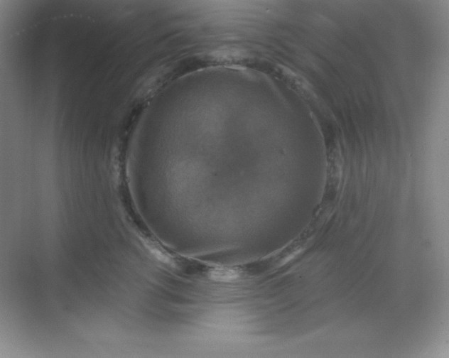 X0000068840762200605191925