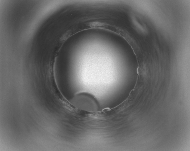 X0000068840763200605191925