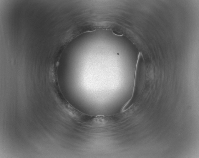 X0000068840764200605191925