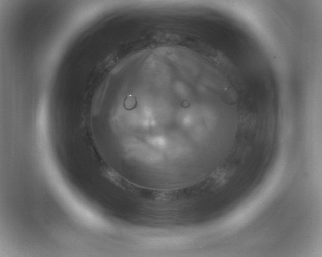 X0000068840765200605191925