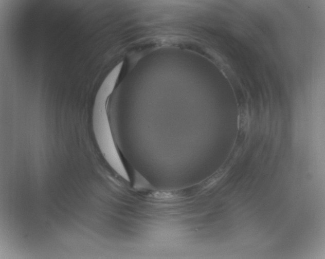 X0000068840766200605191925