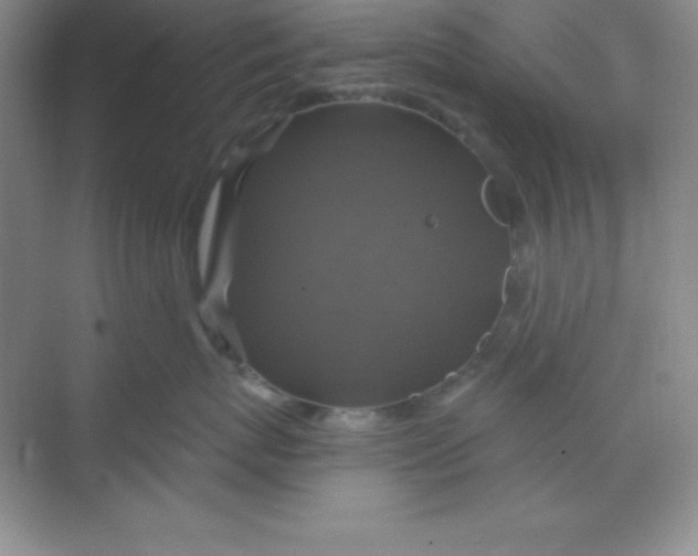 X0000068840767200605191925