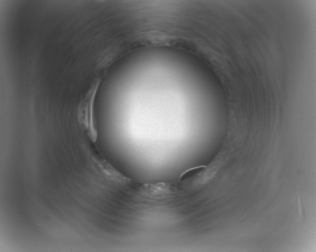 X0000068840768200605191925