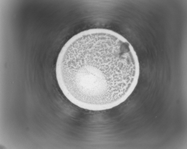 X0000068840769200605191924