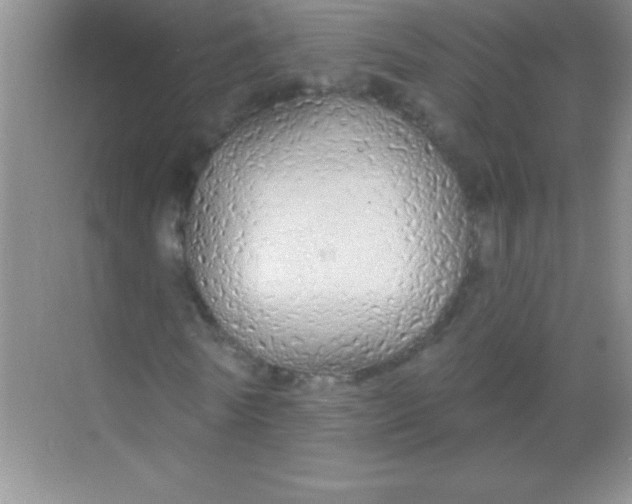 X0000068840770200605191924