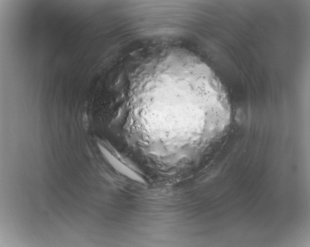 X0000068840771200605191924