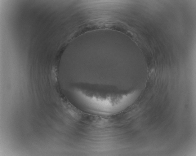 X0000068840772200605191924