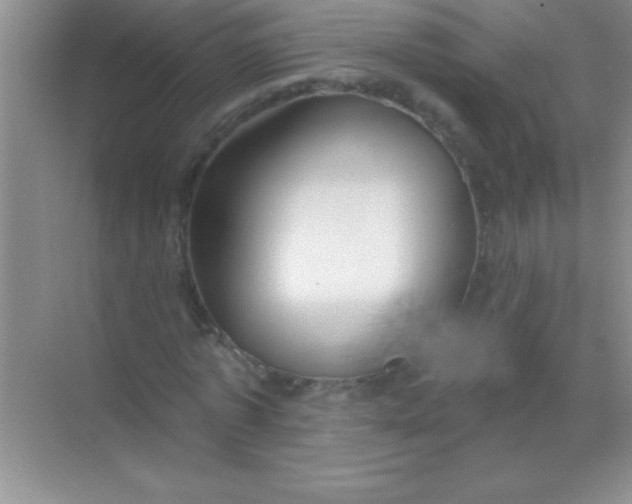 X0000068840773200605191924