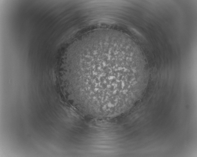 X0000068840774200605191924