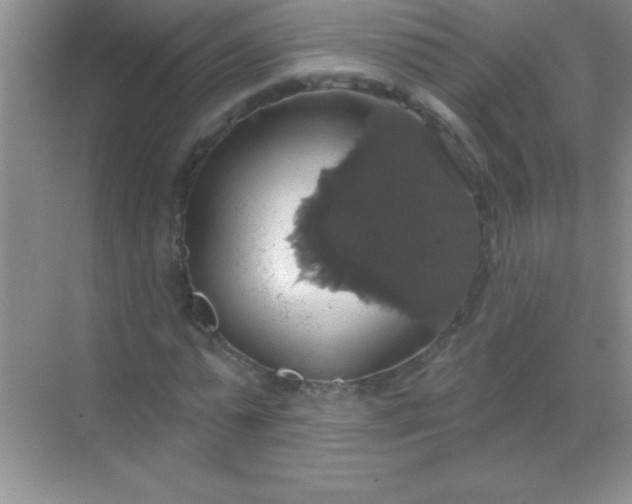 X0000068840775200605191924