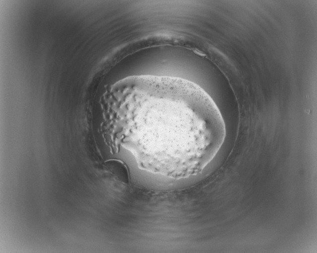 X0000068840776200605191924