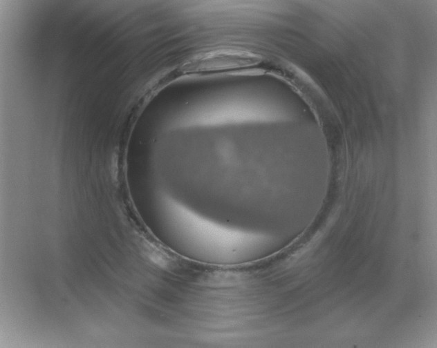 X0000068840777200605191924