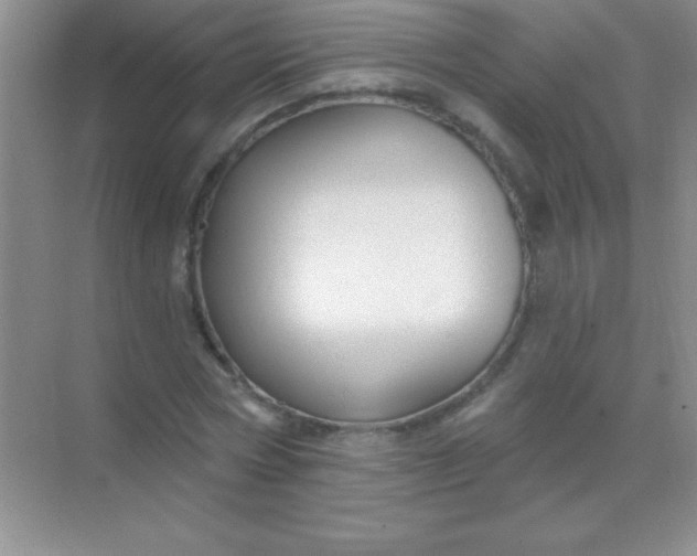 X0000068840778200605191924