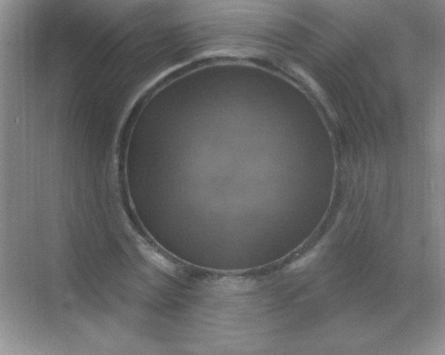 X0000068840779200605191924