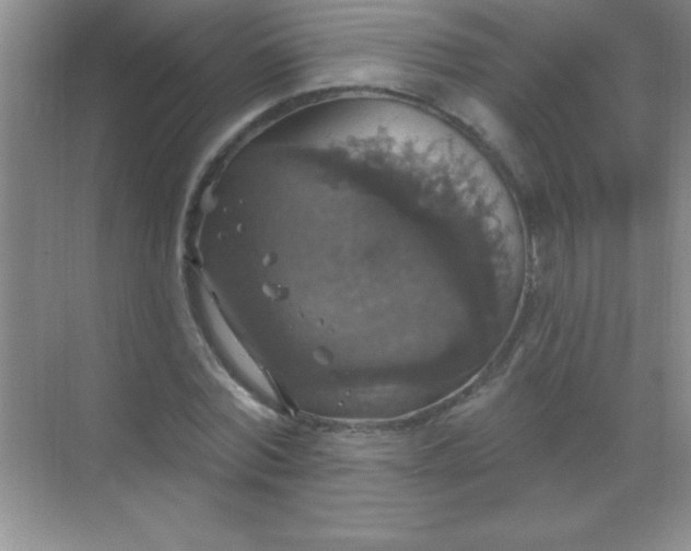 X0000068840780200605191924