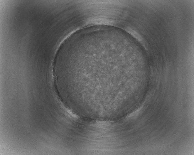 X0000068840782200605191924