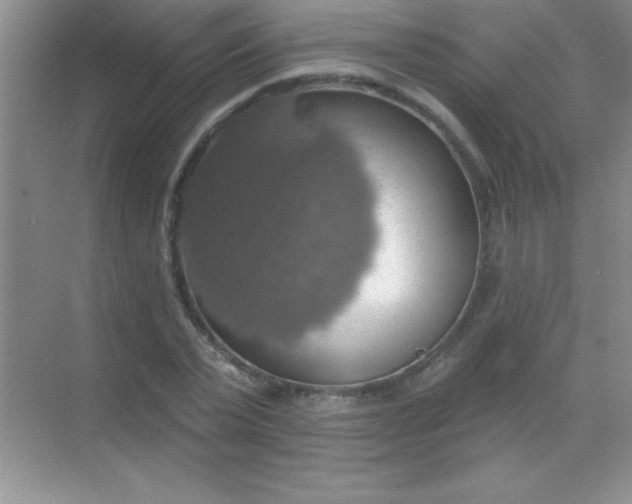 X0000068840783200605191924