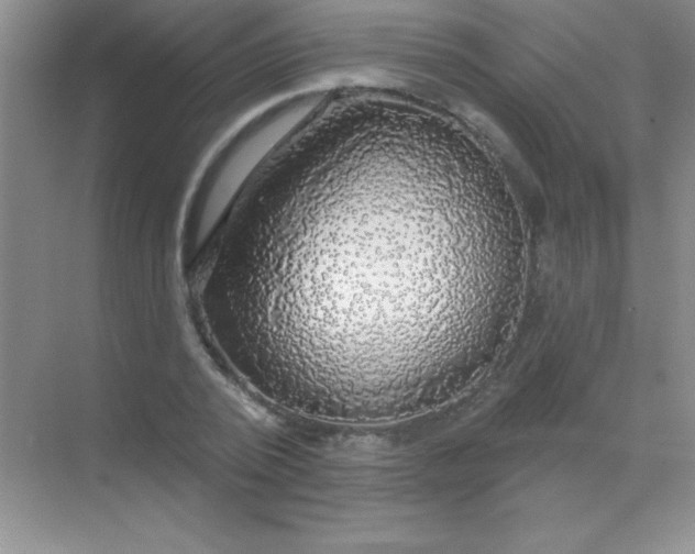 X0000068840784200605191924