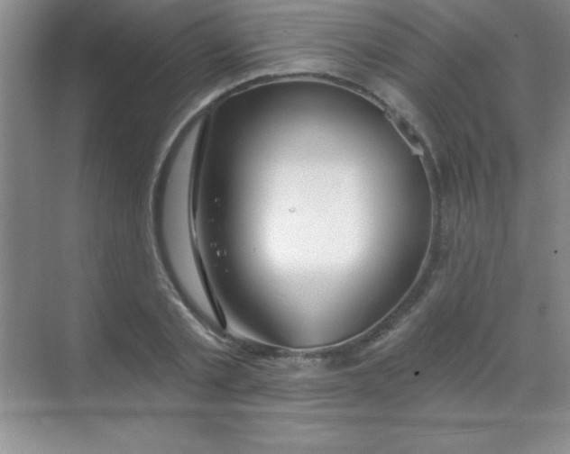 X0000068840789200605191924