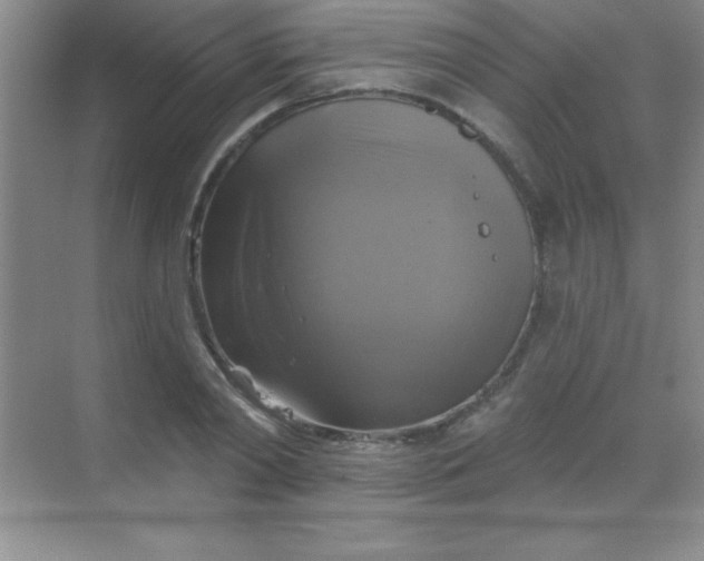 X0000068840790200605191924