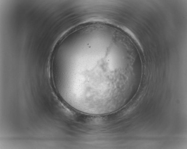 X0000068840791200605191924