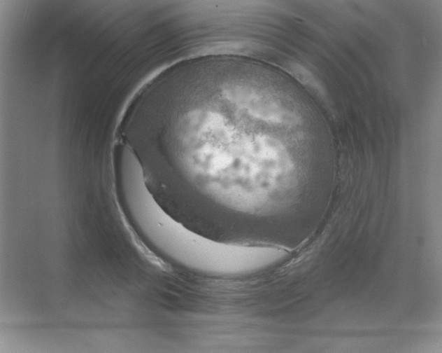 X0000068840792200605191924