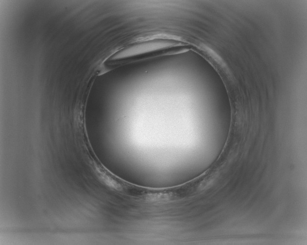 X0000068840793200605191924