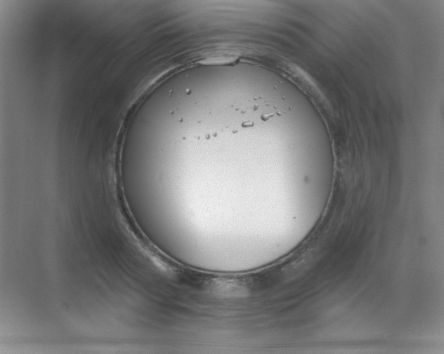 X0000068840794200605191924