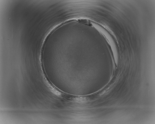 X0000068840797200605191924