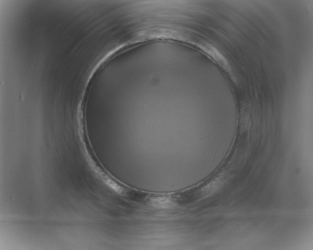 X0000068840798200605191924