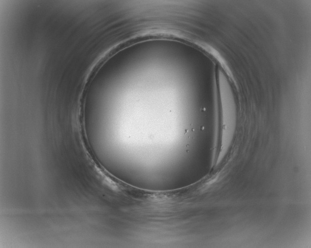 X0000068840799200605191924